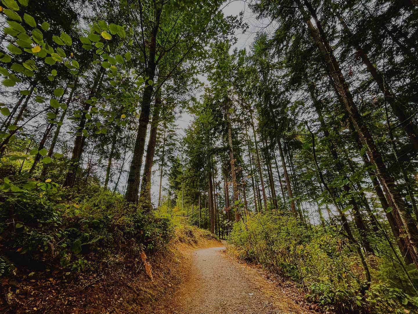 Activities in Upplands Väsby